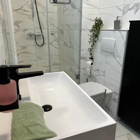 Magyar Deluxe Apartman Apartment Szolnok