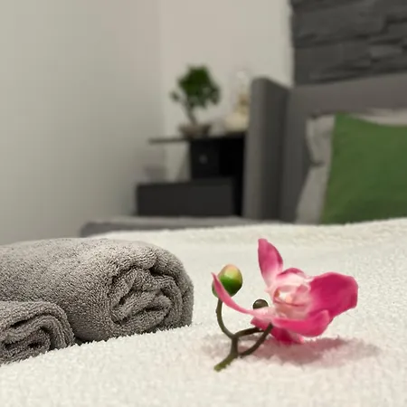 Magyar Deluxe Apartman *